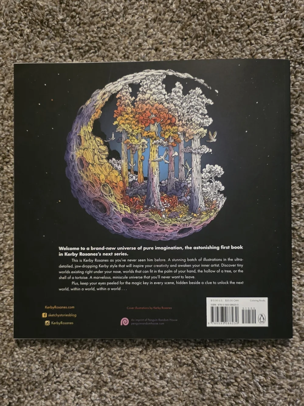 Worlds Within Worlds Adult Coloring Book